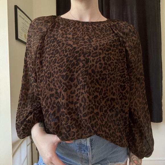 Zara Brown Sheer Leopard Print Blouse - Picture 2 of 9